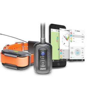 Dogtra Pathfinder  GPS a elektronický výcvikový obojek - pro 3 psy