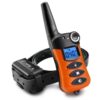 Petrainer PET620 elektronický výcvikový obojek - pro 1 psa