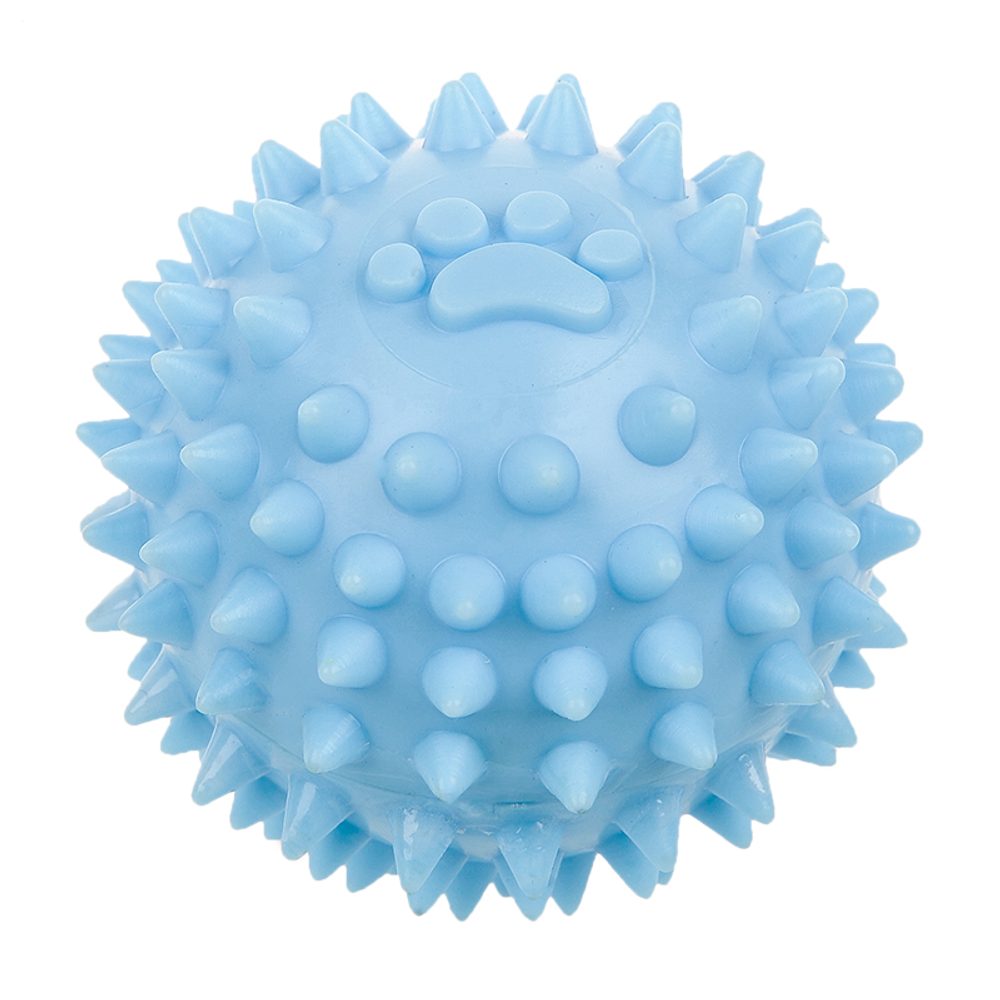 Reedog Ball Chew & Play